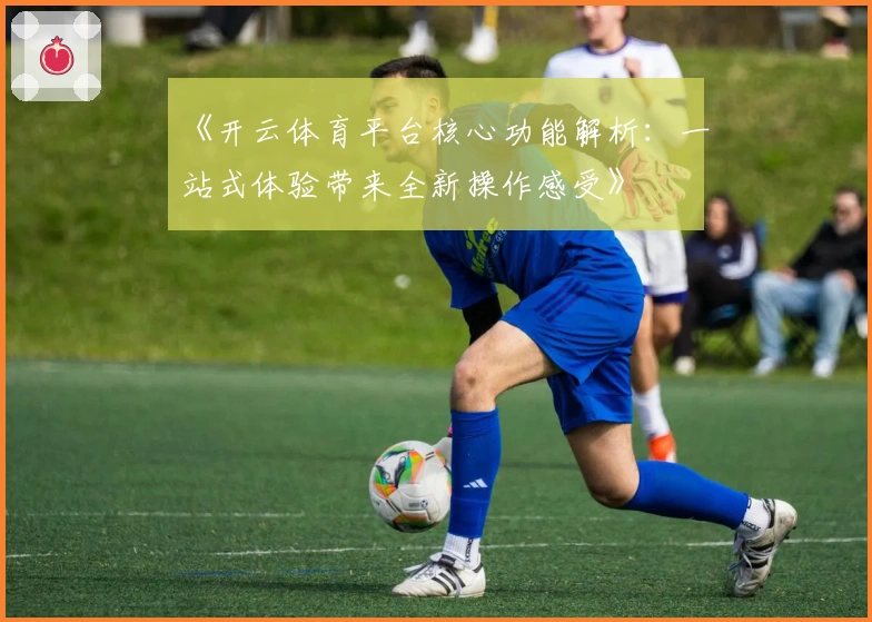 《开云体育平台核心功能解析：一站式体验带来全新操作感受》